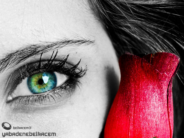 Close-up of a woman's eye and a red rose