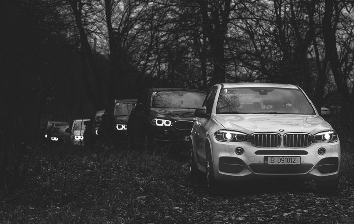 BMW SUVs lined up in a forest