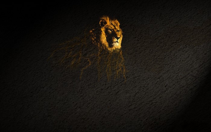 Lion illuminated by golden light against dark background