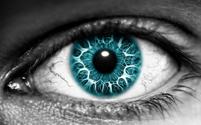 Close-up of a blue eye with black and white tones