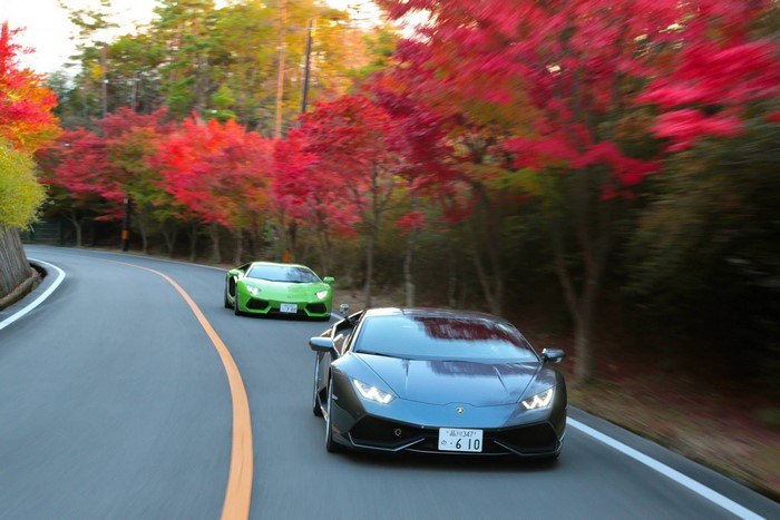 Two Lamborghinis driving on a road with autumn trees