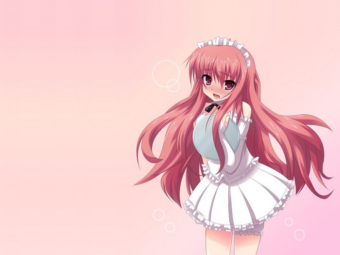Louise Françoise Le Blanc de La Vallière from Zero no Tsukaima