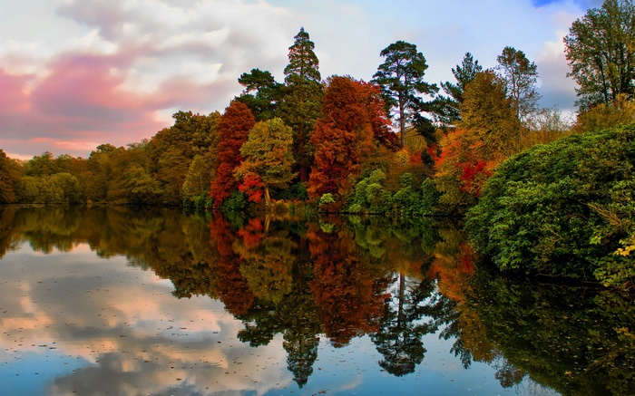 Autumn trees reflected in a calm lake