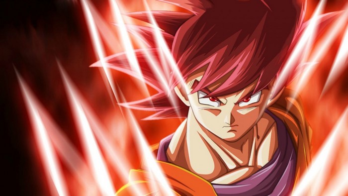 Goku in Super Saiyan God form from Dragon Ball Z