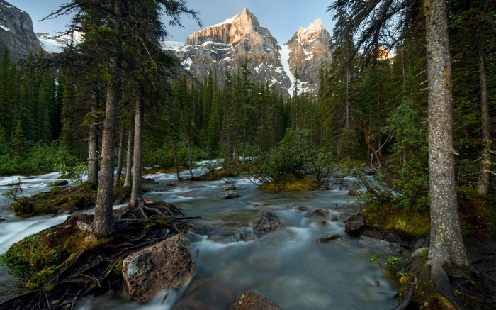 Mountain peaks above a forest and river