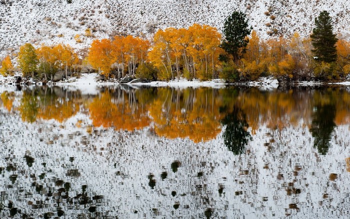 Autumn trees reflected in water with snow