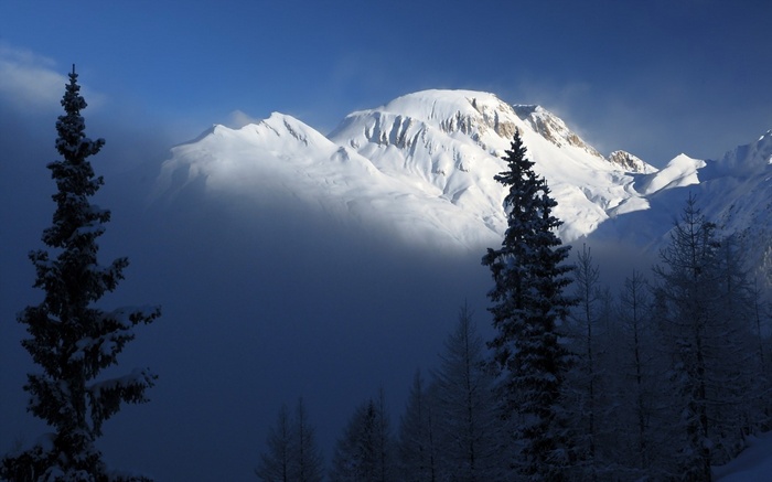 Snow-covered mountains and pine trees under a blue sky