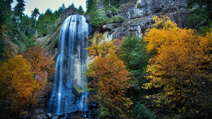 Waterfall in a forest during autumn