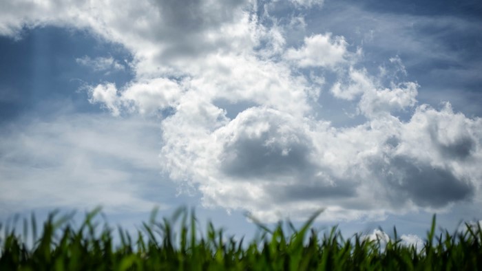 Green grass and clouds in the sky