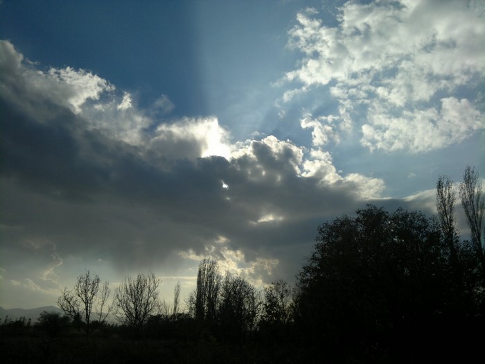 Sunlight breaking through dark clouds over trees