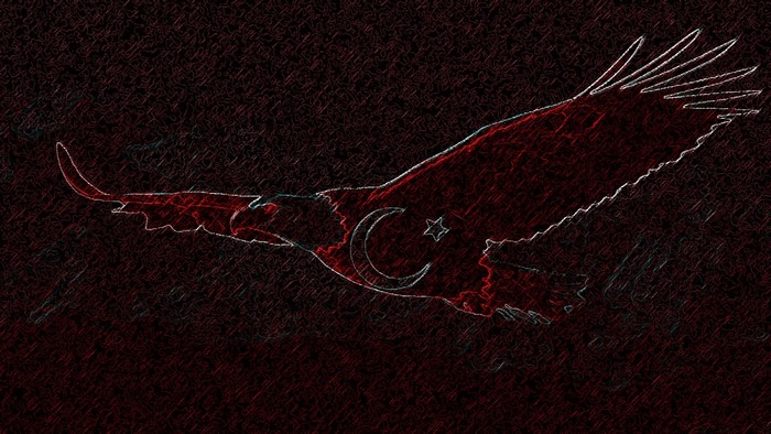 Eagle with Turkish flag symbol