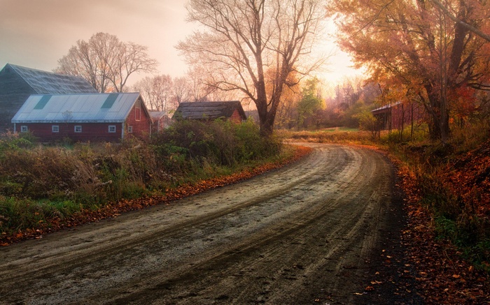 Dirt road leading to a farm in autumn
