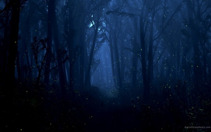 Dark forest with fireflies at night