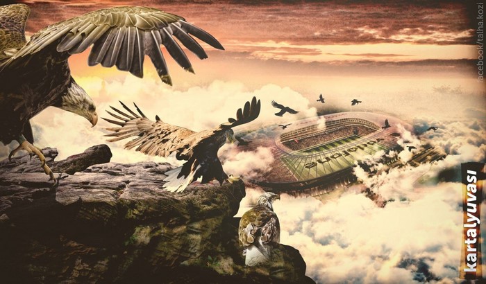 Eagles flying over Vodafone Arena stadium