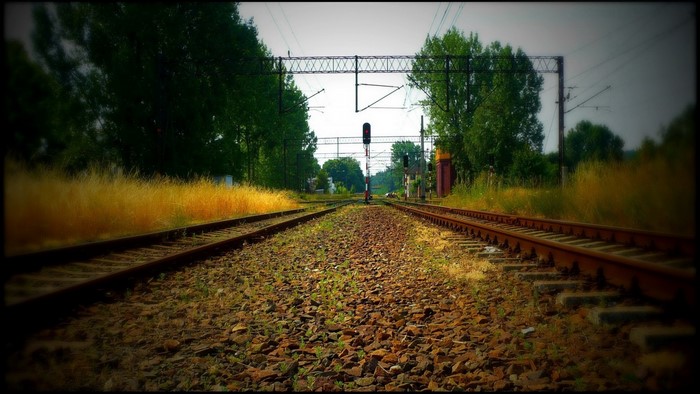 Train tracks leading to a railway signal