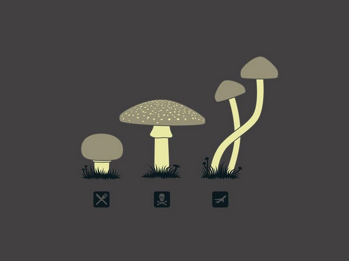 Illustration of three mushrooms with icons