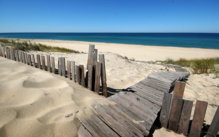 Wooden walkway on a sandy beach with the ocean in the background