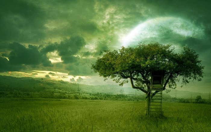 Treehouse in a green field under a large moon