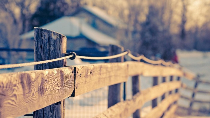 Wooden fence in winter with soft sunlight