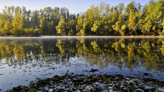Autumn trees reflected in a misty lake at sunrise