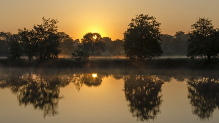 Sunrise over a misty lake with trees and reflections