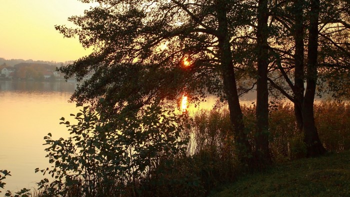 Sunset over a lake with trees and reeds