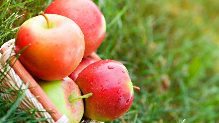 Apples in a basket on grass