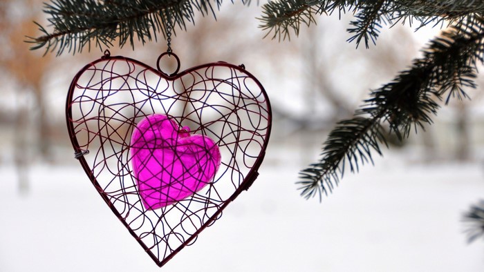 Wire heart ornament with pink heart on a pine branch in winter