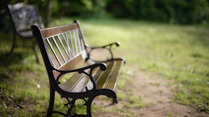 Two park benches in a grassy garden