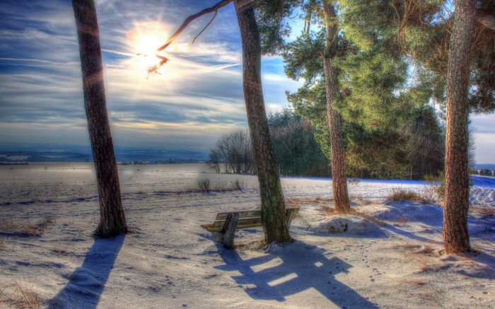 Winter landscape with trees and a bench