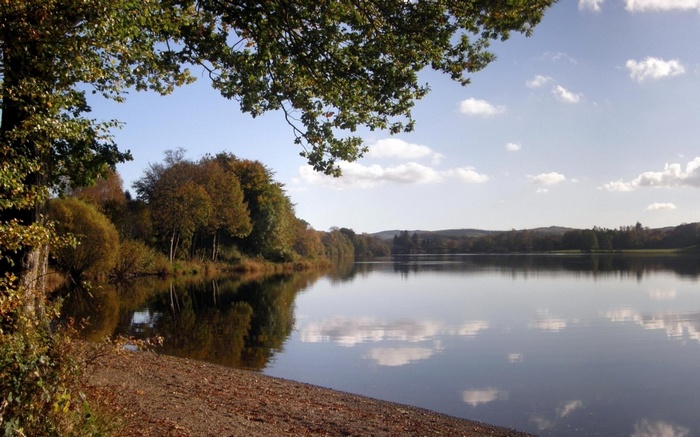 Autumn trees reflected in a calm lake under a cloudy sky