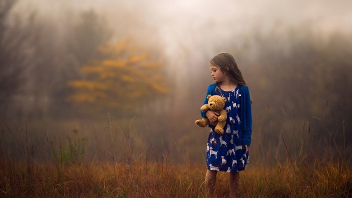 Little girl holding teddy bear in foggy meadow