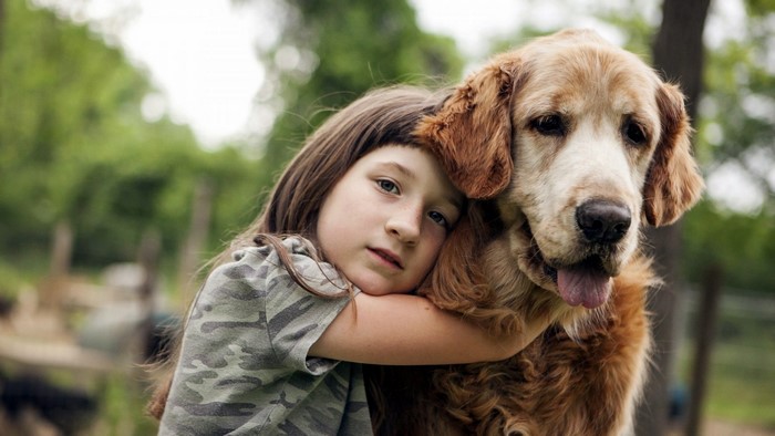 Girl hugging a Golden Retriever dog outdoors