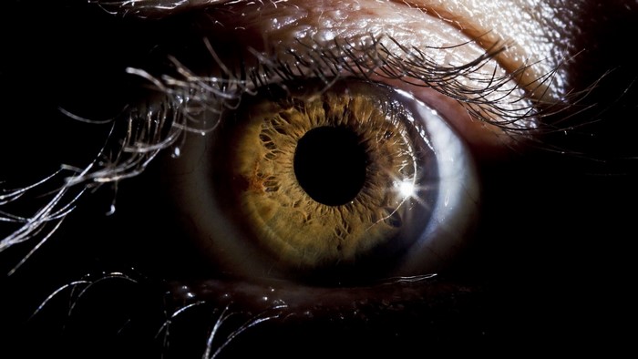 Extreme Macro Photography of a Human Eye Iris