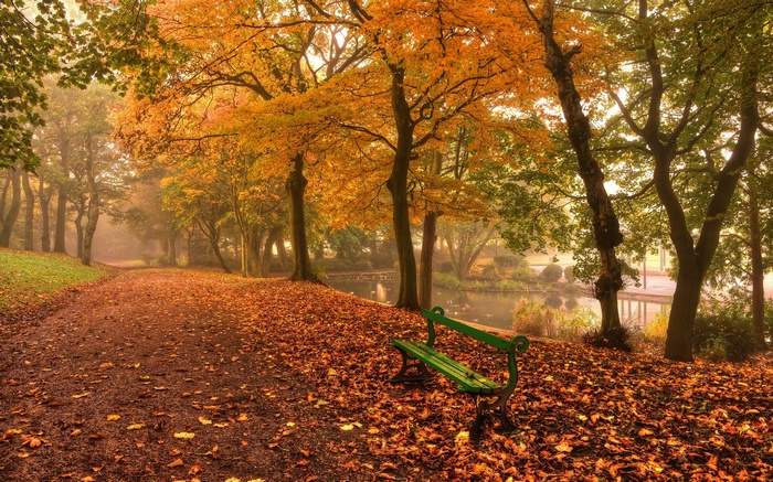 Park path covered in autumn leaves with a bench