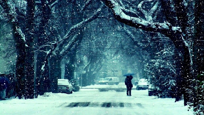 Person with umbrella in a snowy street with trees