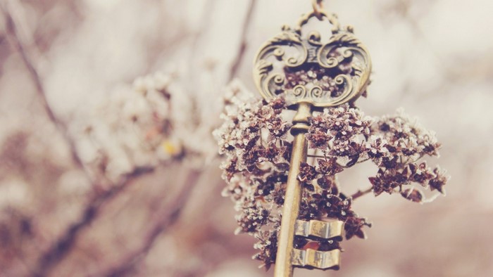 Antique key resting on frosted flowers
