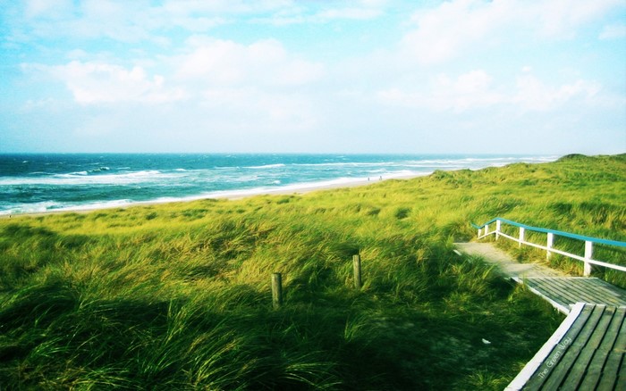 Wooden walkway through grassy dunes to a sandy beach and ocean