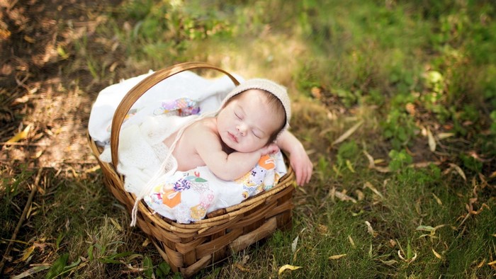 Newborn baby sleeping in a basket outdoors