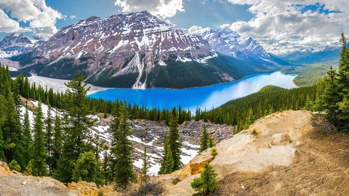 Peyto Lake in Banff National Park, Canada