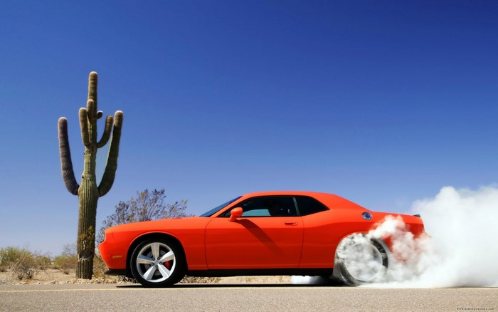 Orange Dodge Challenger doing a burnout next to a saguaro cactus