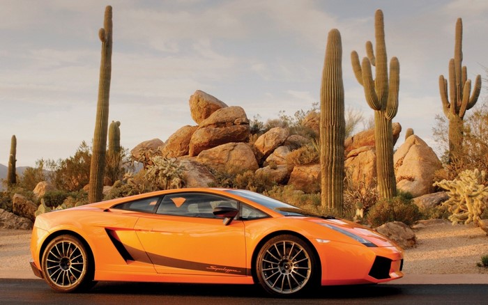 Orange Lamborghini Gallardo in a desert with saguaro cacti