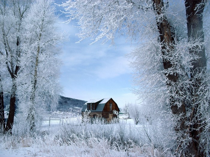 Winter landscape with a log cabin and frosted trees