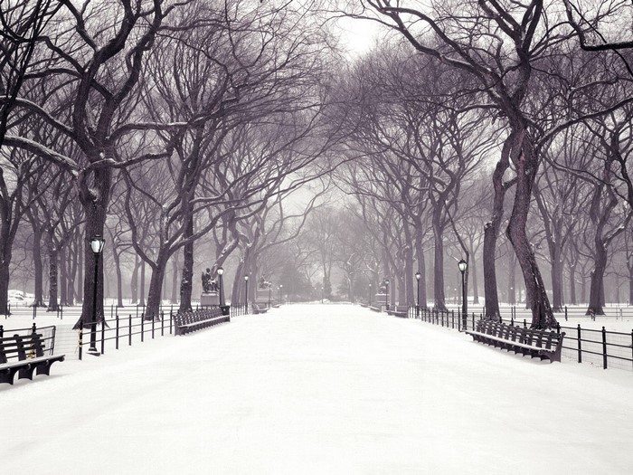 Snowy path in Central Park, New York City