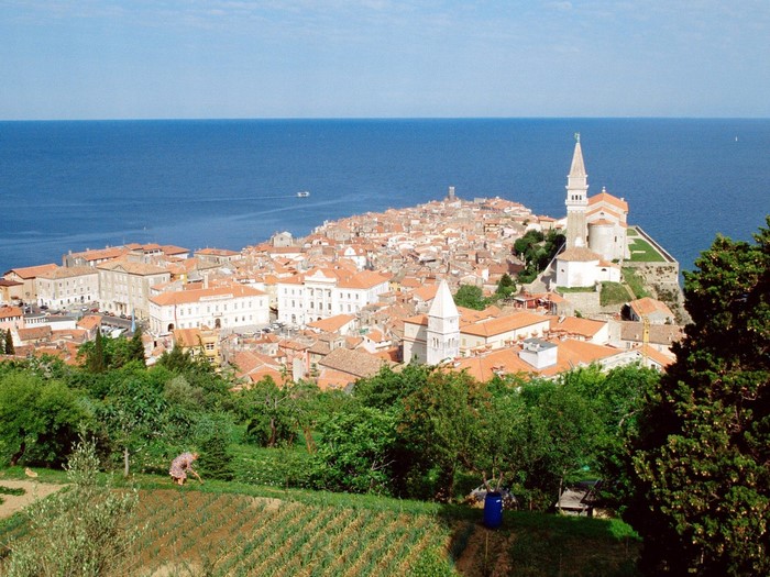 Piran town and coast in Slovenia
