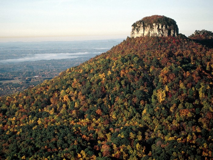 Pilot Mountain in Autumn with Colorful Forest