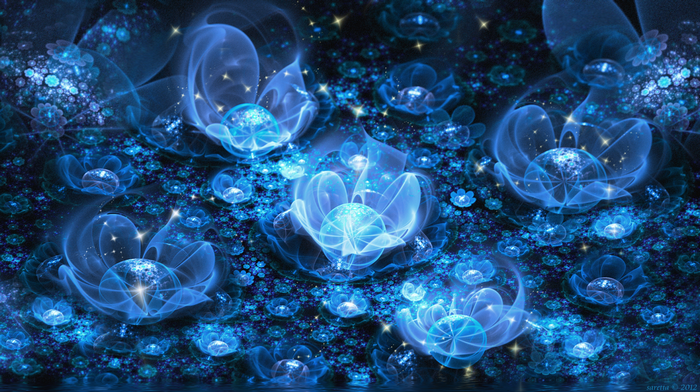 Blue fractal flowers in a dark universe