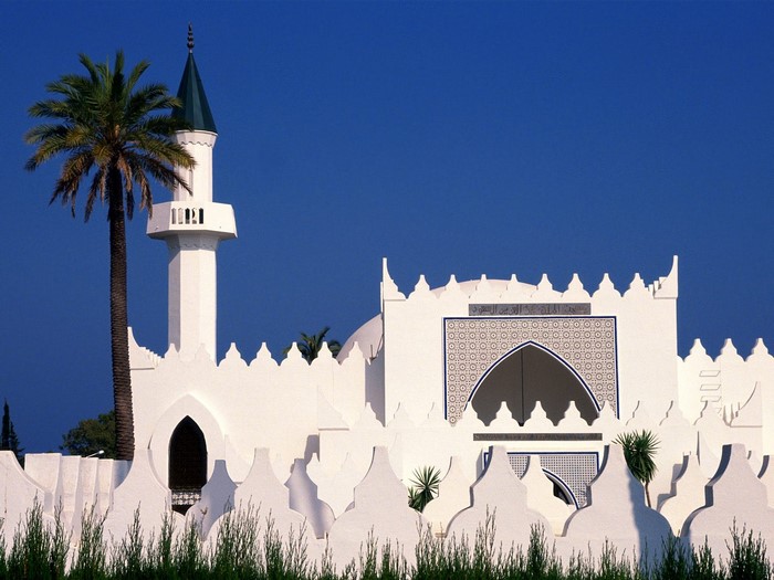 White mosque with minaret and palm tree against blue sky