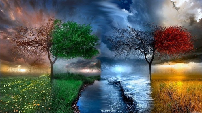 Four Seasons Tree Landscape