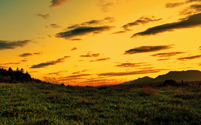Sunset over a grassy field with mountains